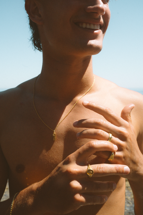 Swallows | GOLD