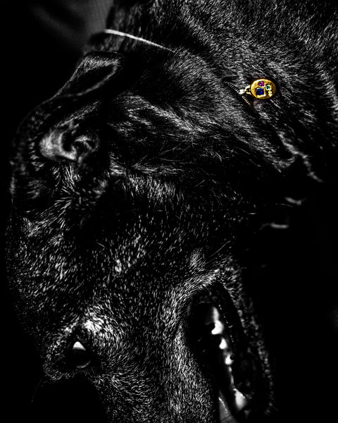 Three Stone Pendant | GOLD